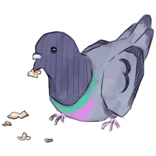 eating pigeon