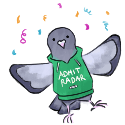 university hoodie pigeon